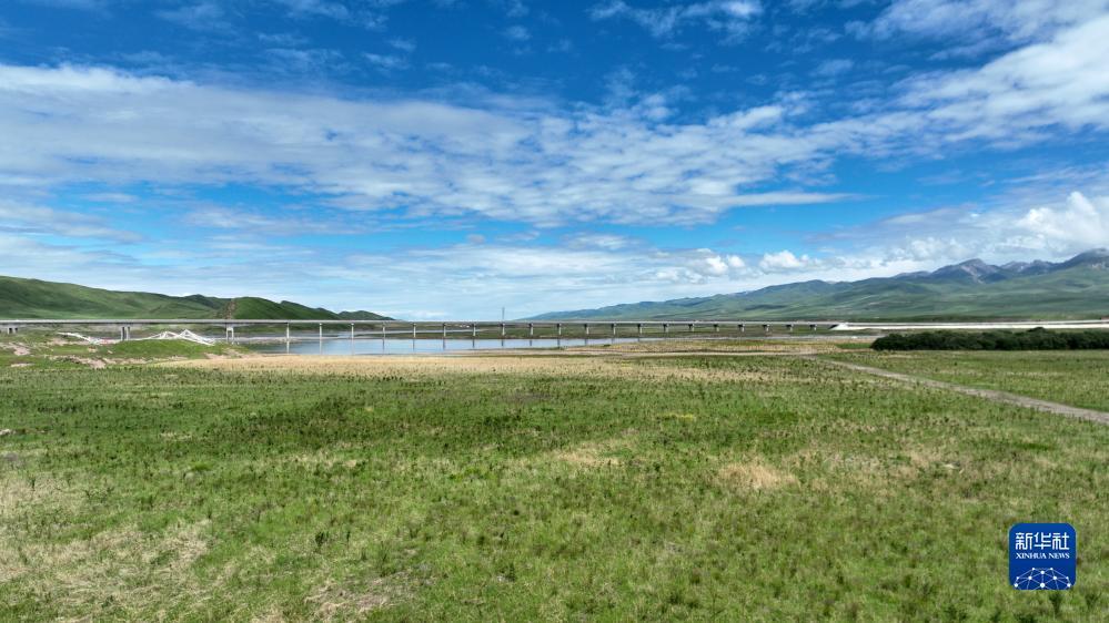 途游游戏大厅